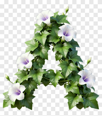 Floral Letter A With Ivy And Flowers PNG