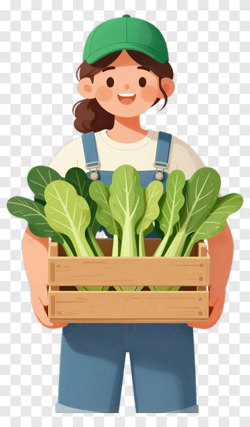 Cartoon Farmer Holding A Wooden Crate Of Lettuce PNG