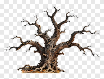 Dead Tree With Twisted Branches PNG