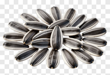Sunflower Seeds Pile PNG