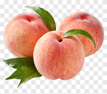 Fresh Peaches With Green Leaves PNG