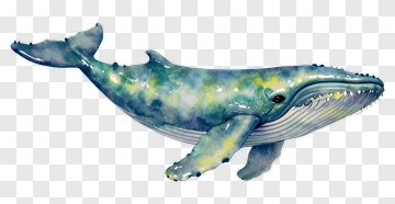 Watercolor Whale PNG