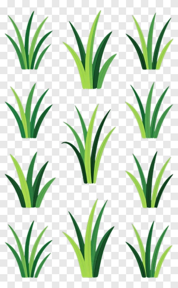 Collection Of Green Grass Blades PNG