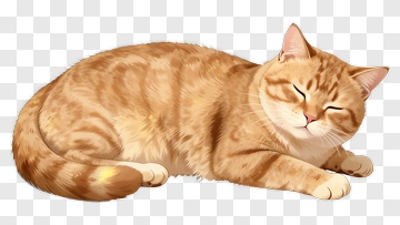 Orange Cat Lying Down PNG
