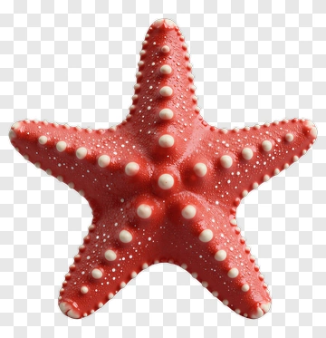 Red Starfish PNG