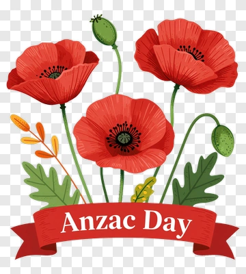 Red Poppy Flowers With Anzac Day Banner PNG