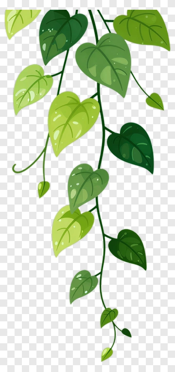 Green Vine With Heart-Shaped Leaves PNG