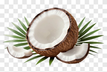 Coconut Halves With Palm Leaves PNG