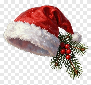 Christmas Santa Hat With Pine And Berries PNG