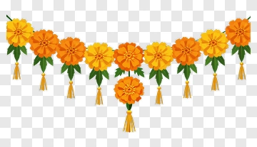 Marigold Flower Garland PNG