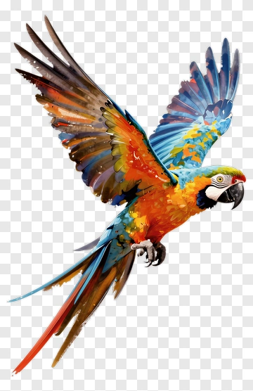 Colorful Macaw Parrot In Flight PNG