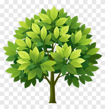 Colorful Tree PNG