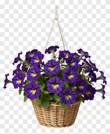 Hanging Flower Basket With Purple Petunias PNG