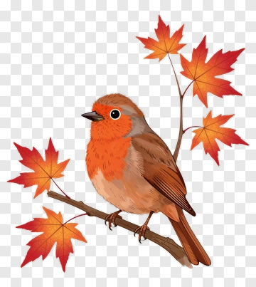 Bird Sitting On A Branch With Autumn Leaves PNG
