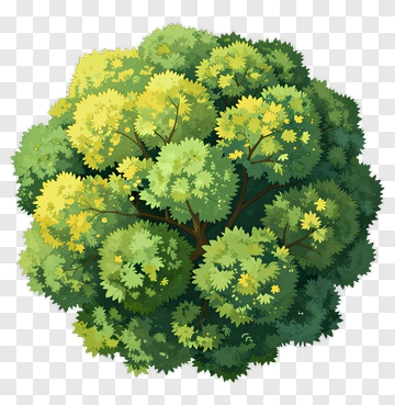 Colorful Tree PNG