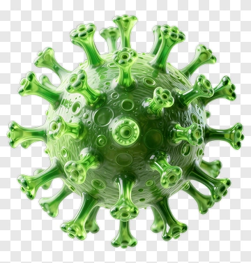 Green Virus Model PNG