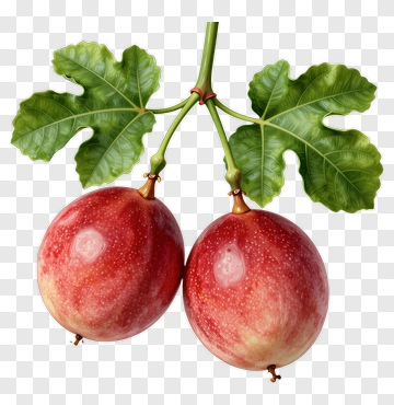 Fig Fruit With Leaves PNG