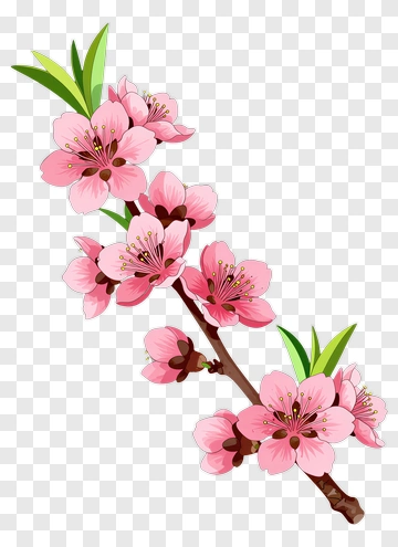 Pink Cherry Blossom Branch PNG