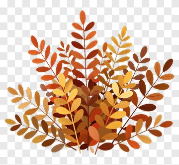 Colorful Autumn Leaves PNG