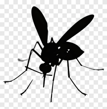 Silhouette Of A Mosquito PNG