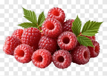 Fresh Raspberries With Green Leaves PNG