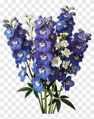 Colorful Flower Bouquet PNG