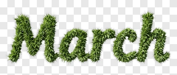 March Text Made Of Green Grass PNG