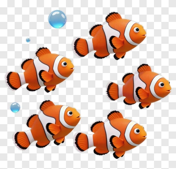 Cartoon Clownfish Swimming Together PNG