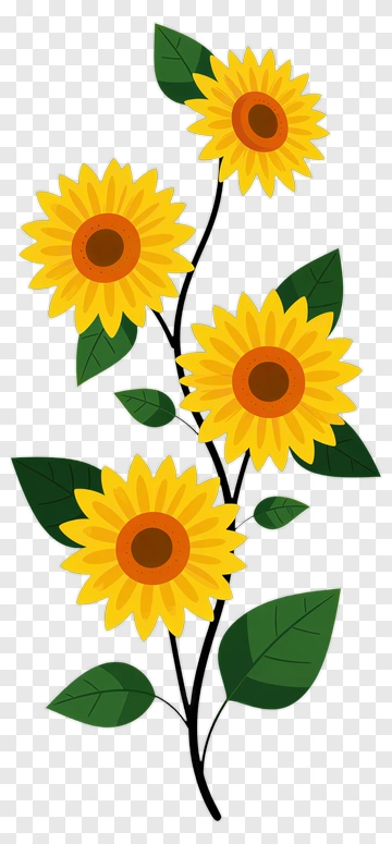 Colorful Sunflower Bouquet PNG