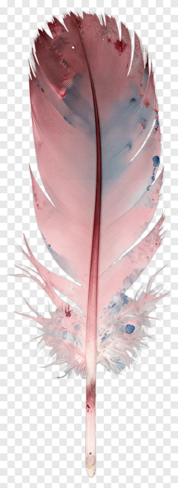 Colorful Feather With Watercolor Effects PNG