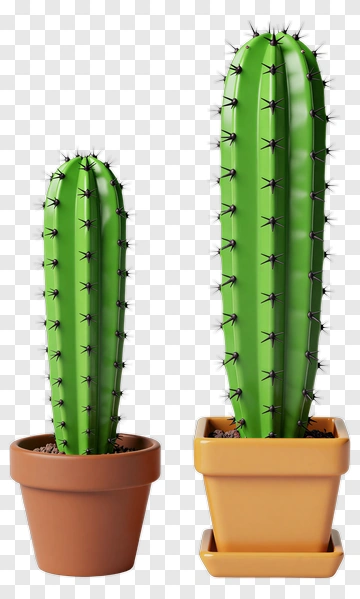 Green Cactus In Flower Pots PNG