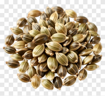Coriander Seeds PNG