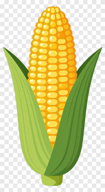 Cartoon Corn On The Cob PNG