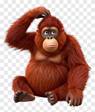 Cartoon Orangutan Scratching Head PNG