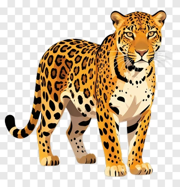 Cartoon Leopard PNG
