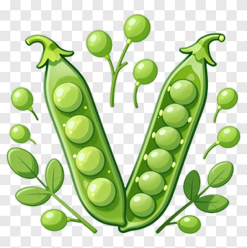 Green Peas With Leaves PNG