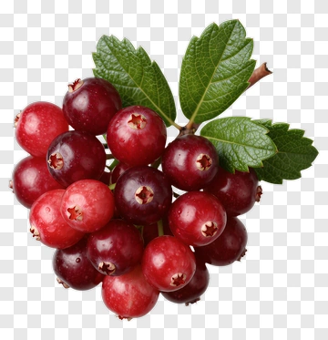 Fresh Red Currants With Green Leaves PNG