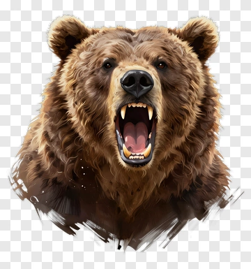 Roaring Bear PNG