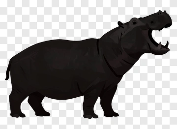 Cartoon Hippo With Open Mouth PNG