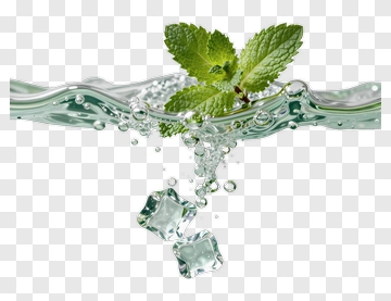 Mint Leaves And Ice Cubes In Water PNG