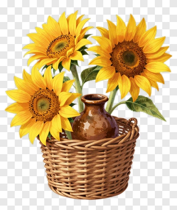 Sunflower Bouquet In A Woven Basket PNG