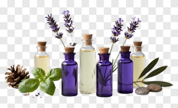 Essential Oil Bottles With Lavender And Basil PNG