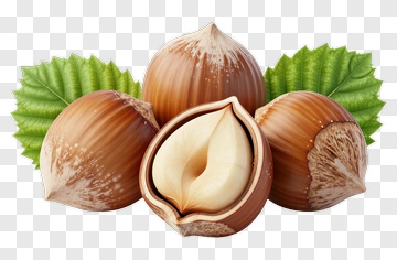 Hazelnuts With Green Leaves PNG