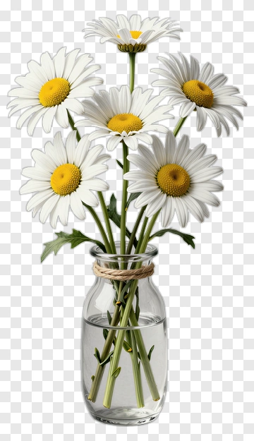 Daisy Bouquet In A Glass Vase PNG