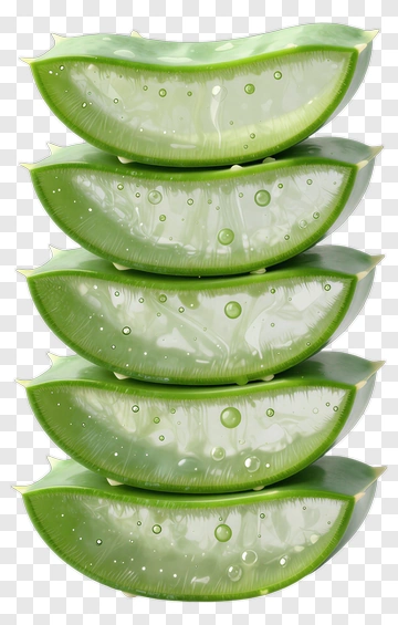 Stack Of Fresh Aloe Vera Leaves PNG