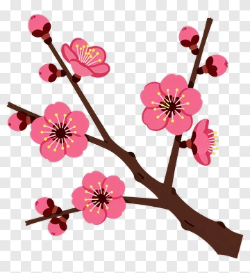 Colorful Cherry Blossom Branch PNG