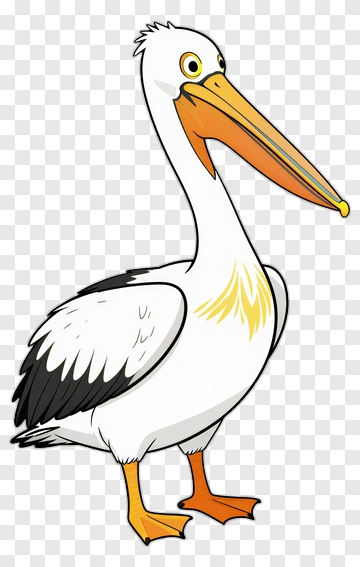 Cartoon Pelican PNG
