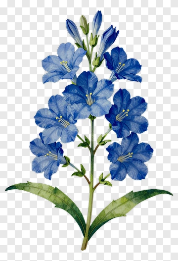 Blue Flower With Green Leaves PNG