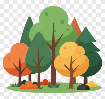 Colorful Forest With Various Trees PNG