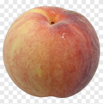 Fresh Peach PNG